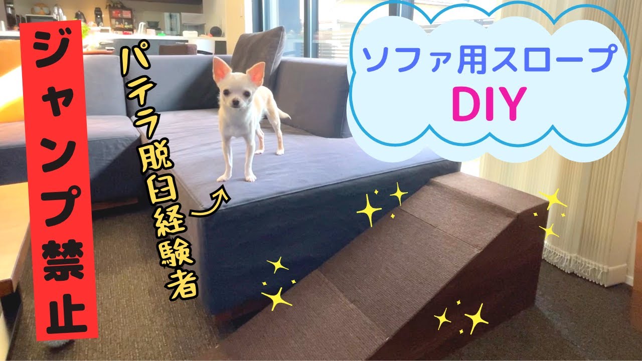 実際どうなの⁉︎】パテラ脱臼経験犬用スロープをDIYしました。 - YouTube