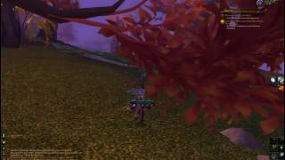 WoW quest - You've Got to Be Kitten Me Right Meow (Most annoying Legion quest so far)