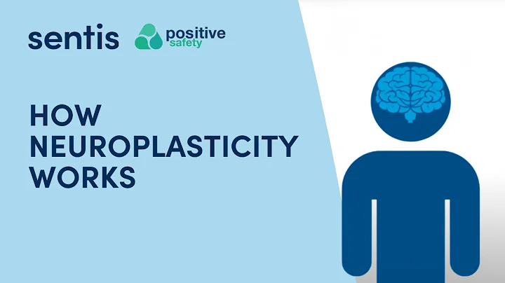 Neuroplasticity