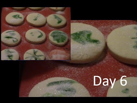 12 Days of Cookies - Day 6 - Sugar Cutout Cookies