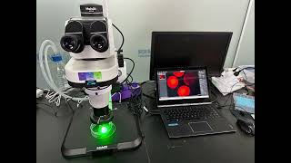 MSHOT MZX100 Fluorescence Stereo Microscope in GMO Research