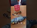 ☁️ 阴天虽无阳光,但愿温暖常伴你心,愿你心中自有光明。开始动手啦 。。。。。😎 #沉香 #agarwood #熱門 #沉香里的秘密
