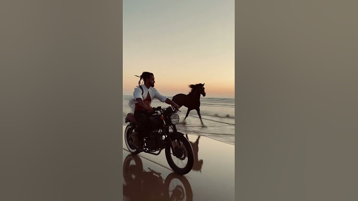 Horse or Bike?