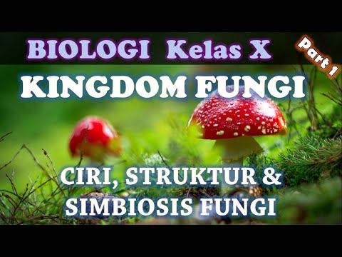 Kingdom Fungi (Part 1) : Ciri-ciri, Struktur & Simbiosis Fungi _ Biologi SMA Kelas X IPA