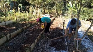 PREPARANDO A TERRA E PLANTIO DE ALHO PORÓ NO SÍTIO