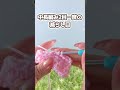 中長編み2目一度の減らし目 #編み物初心者