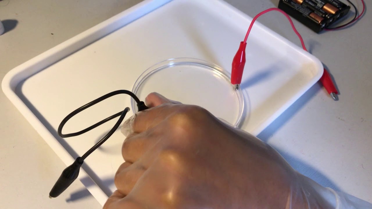 Tin Dendrite Electrolysis YouTube