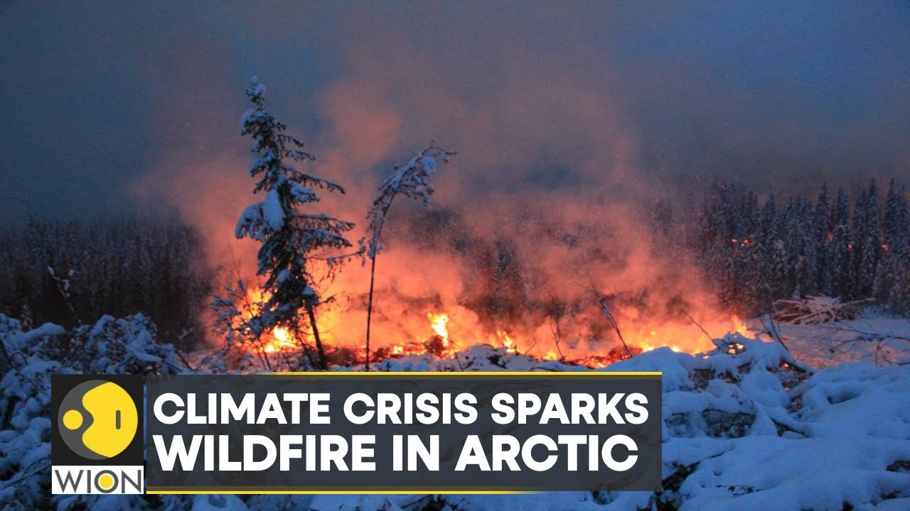 WION Climate Tracker: A warm Arctic, wracked by wildfires | Latest News