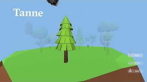 Interaktive Baumartenkunde - Tangible Interface, Interactive Website