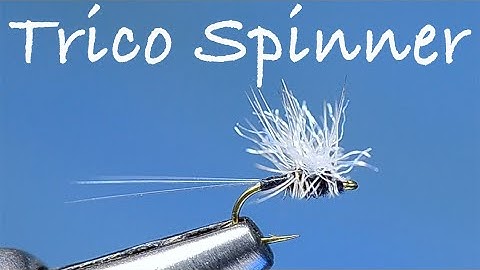 Trico Spinner Fly Tying Instructions by Charlie Craven