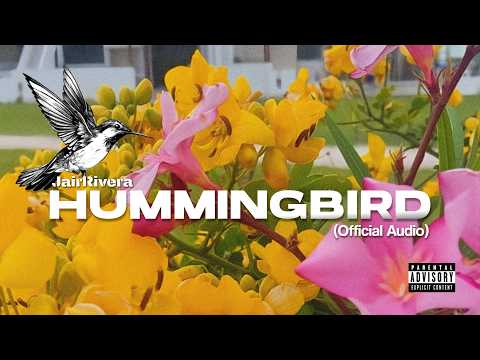 JairRivera - Hummingbird (Official Audio)