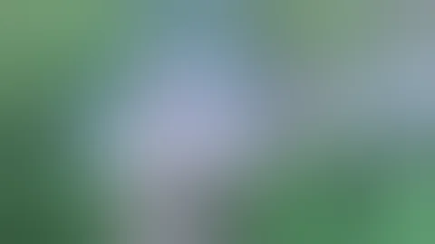 M1a1 Thompson SMG Blank-firing 9mm Bridhead Bussum 2010