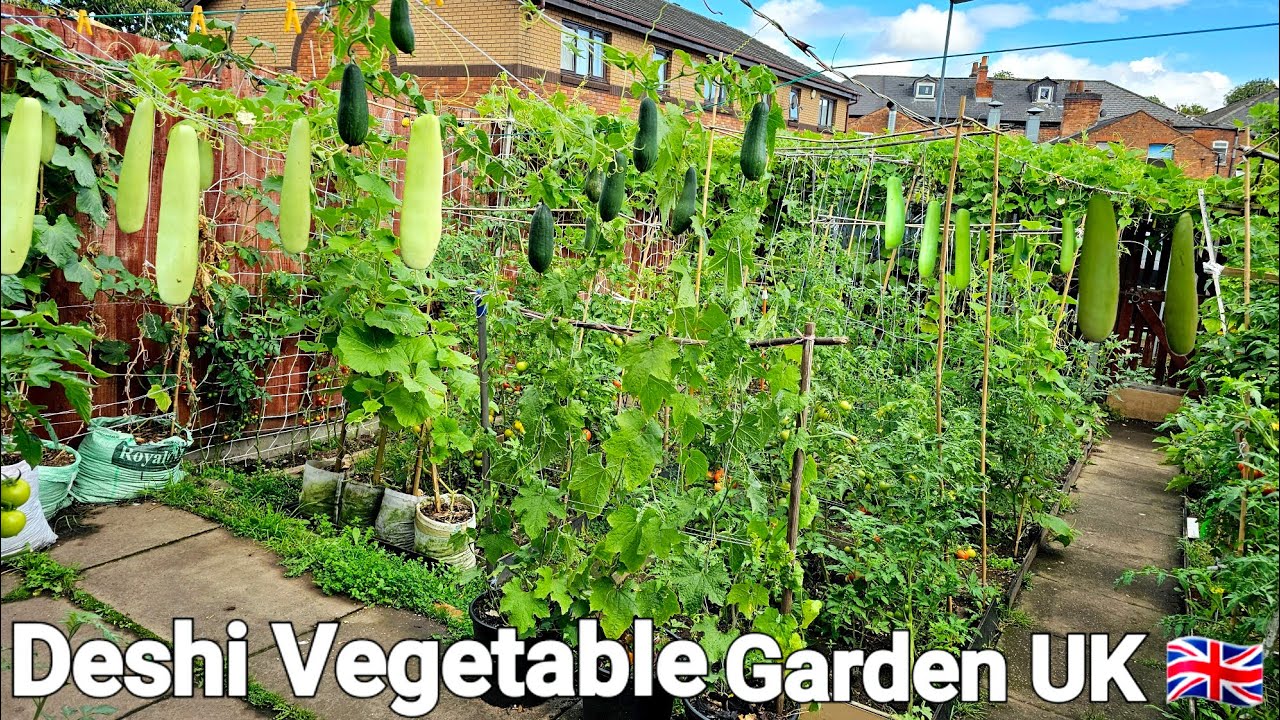 October Garden Tour & Amazing Harvest, Deshi Vegetable Garden of Bottle ...