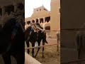 للشوق من صوت الطواريق ميعاد