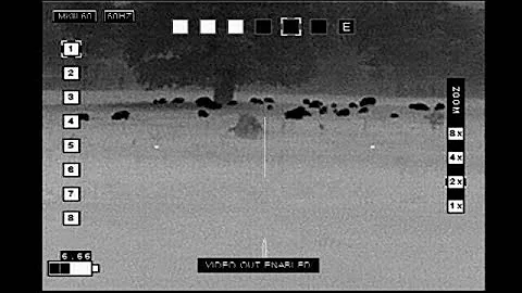 BIG 260 lb Boar and 4 Coyotes - Spot and Stalk Thermal Hunting