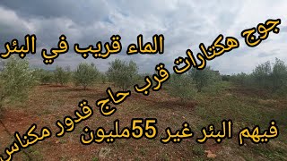 جوج🏡 هكتارات للبيع ✅️ضواحي مكناس قرب الحاج قدور 💯فيهم البئر والزيتون وأشجار🏕💥💫 متنوعةغير55مليون