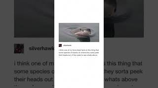 A Shark Tumblr Post