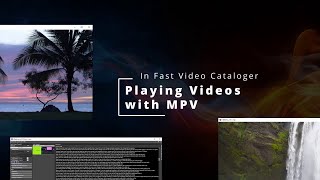 Playing video with MPV in Fast Video Cataloger