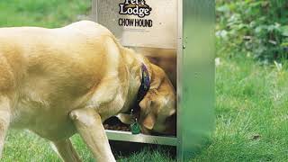 PetLodge® Chow Hound Pet Feeders