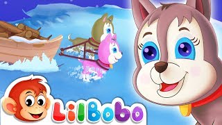 Bingo Song | Little Bobo Nursery Rhymes - Flickbox Kids Songs