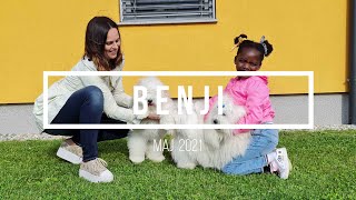 Benji (maj 2021) by Janko Koletnik 25 views 2 years ago 6 minutes, 2 seconds