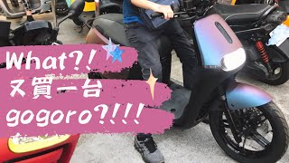 什麼？！又買一台gogoro?