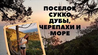 Поездка к Кипарисам, море и отдых