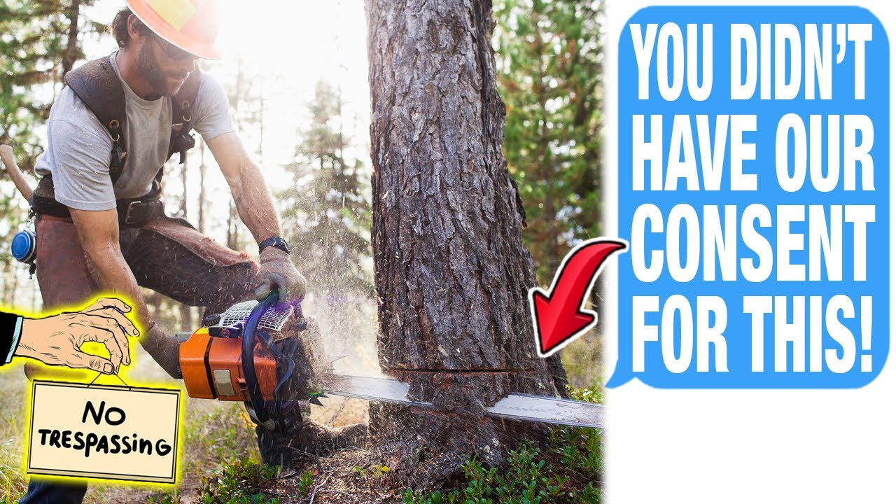 Insane Neighbor CUT DOWN Trees & TRESPASSED On My Property WITHOUT MY