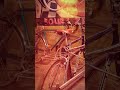Diy rack pannier, save money 💵 #rakitsepeda #gowessepeda #topeak #bluelug #chrisking #federalbike
