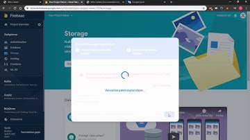Storage And Google Sign In Settings With Firebase Console - Who Called