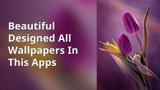 Popular Beautifully Wallpaper"Tulip 4k New Wallpapers|Free Mobile Background" screenshot 2