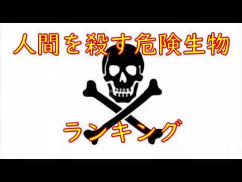 人間を殺す危険生物ランキング