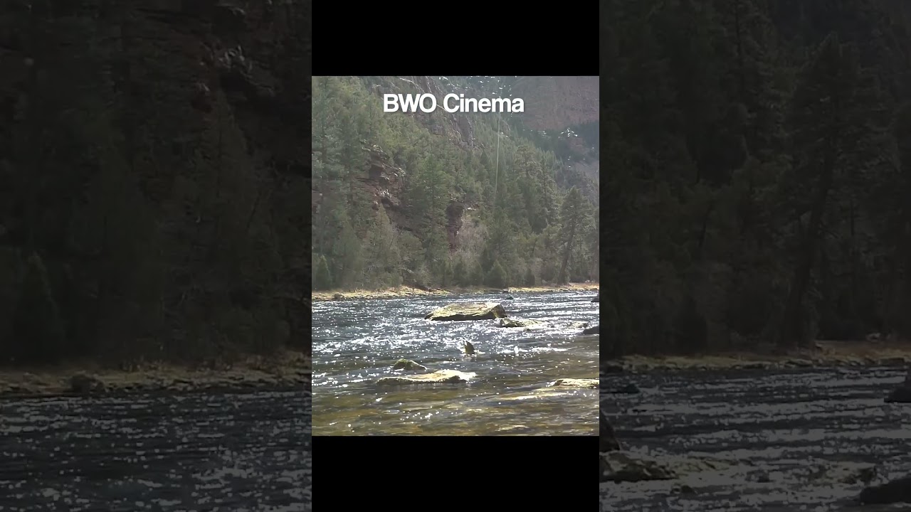 Cinematic highlights of a BWO Hatch  