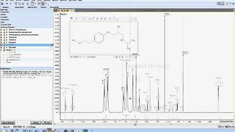 ACD/Spectrus Processor—NMR Capabilities