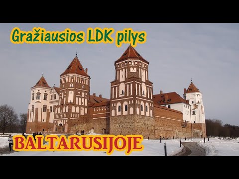 Video: Kas Yra „pliušinis Nusileidimas“Baltarusijoje
