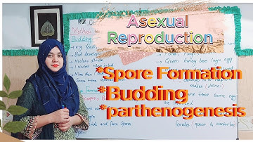 Asexual Reproduction| Budding| Spore Formation| Parthenogenesis| class 10 biology