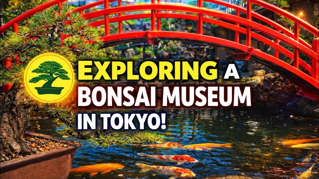 Masterpieces in Miniature | Japan's Secret Bonsai Garden Tokyo Japan
