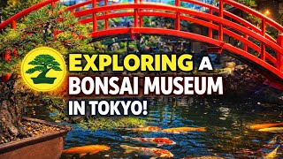 Masterpieces in Miniature | Japans Secret Bonsai Garden Tokyo Japan