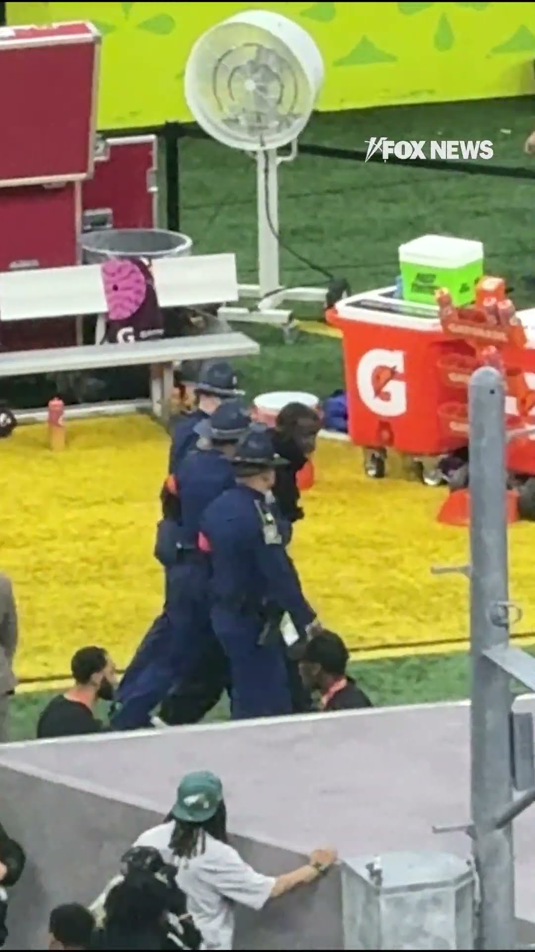 Anti-Israel protester waves Palestinian flag during Super Bowl halftime show