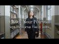 Unlock Your Potential with the Startup Visa in Japan