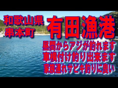 #45和歌山県串本町有田漁港アジが多く釣れます車横付け釣り出来ます街灯が有るので波止が低いので安全昼間からアジが釣れますファミリー家族連れサビキ釣りに良磯に行く洞窟堤防アジング釣りポイント釣りスポット