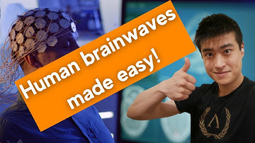 HUMAN BRAINWAVES CRASH COURSE! Neural Oscillations explained simply.