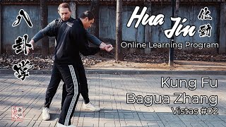 Vistas de Kung Fu Bagua Zhang n.° 02 - Programa de aprendizaje en línea de Hua Jin screenshot 2