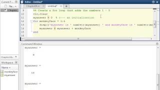 Basics of Writing For Loops in MATLAB