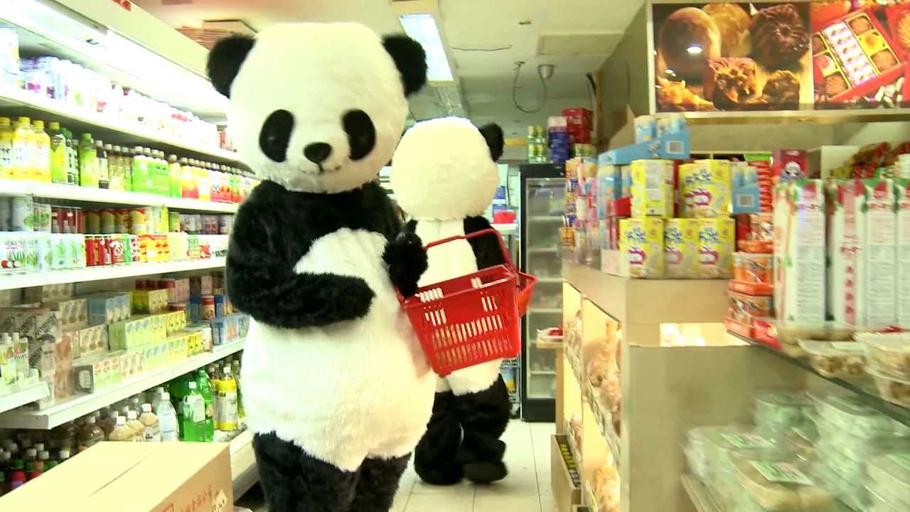 Shopping for panda supplies YouTube