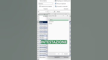 Filtrare i dati in Excel con il filtri dei dati: un modo comodo e veloce