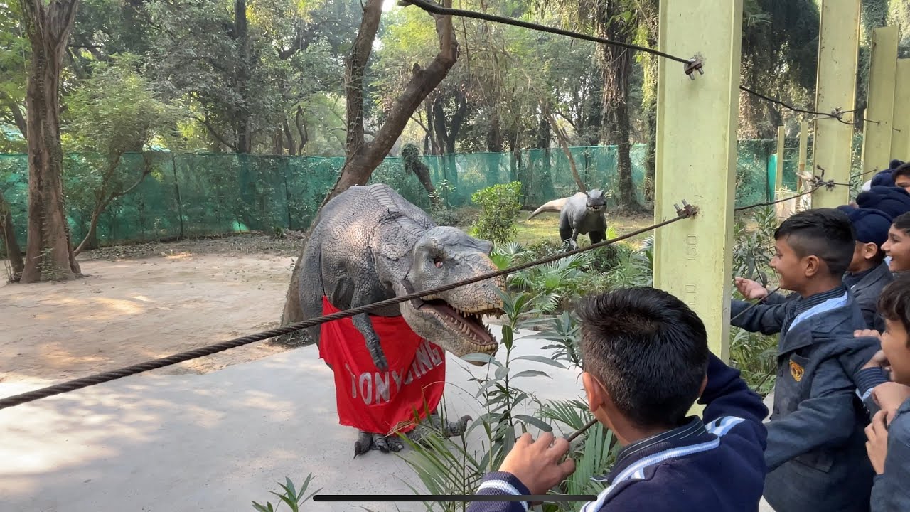 Famous Zoo in Chandigarh Chhatbir Zoo Chandigarh YouTube