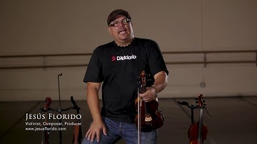 Jesus Florido talks about D