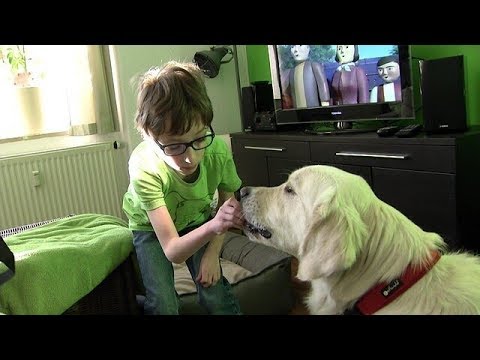 Video: Was Ist Der Unterschied Zwischen Diensthunden, Hunden Zur Emotionalen Unterstützung Und Therapiehunden?