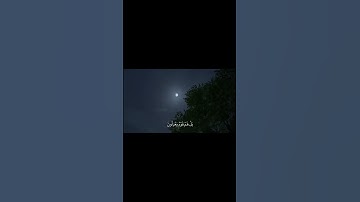 القارئ جابر القيطان #اكسبلور #قرآن #تلاوة_خاشعة #اجر_لي_ولك #سبحان_الله
